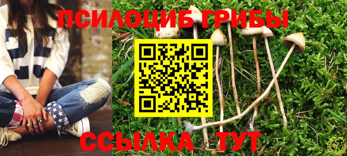 Жуковский  Псилоцибиновые грибы Magic Shrooms  Галлюциногенные грибы мицелий  Вход с VPN 